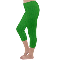 Capri Winter Leggings Back Capri Winter Leggings Back