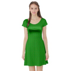 Short Sleeve Skater Dress Front Short Sleeve Skater Dress Front