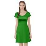 Thieves (2) Short Sleeve Skater Dress