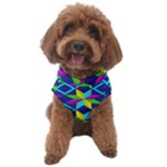 Colorful stars pattern                                                                Dog Sweater