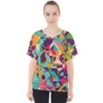 Retro chaos                                                                      V-Neck Dolman Drape Top