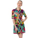 Retro chaos                                                                          Belted Shirt Dress