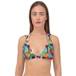 Retro chaos                                                                    Double Strap Halter Bikini Top