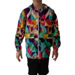 Retro chaos                                                                       Hooded Wind Breaker (Kids)