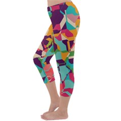 Capri Winter Leggings Back Capri Winter Leggings Back