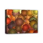 Flower Flora Decoration Pattern Drawing Floral Mini Canvas 7  x 5  (Stretched)