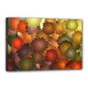 Canvas 18  x 12  (Stretched) 