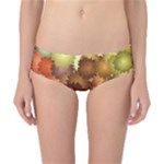 Flower Flora Decoration Pattern Drawing Floral Classic Bikini Bottoms