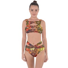 Bandaged Up Bikini Set  