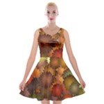 Flower Flora Decoration Pattern Drawing Floral Velvet Skater Dress