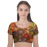 Flower Flora Decoration Pattern Drawing Floral Velvet Short Sleeve Crop Top 