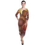 Flower Flora Decoration Pattern Drawing Floral Quarter Sleeve Midi Velour Bodycon Dress