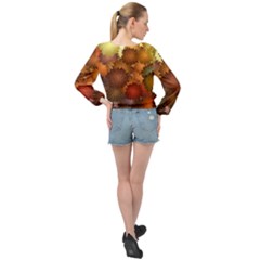 Banded Bottom Chiffon Top 