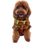 Flower Flora Decoration Pattern Drawing Floral Dog Coat