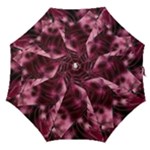 Flower Flora Decoration Pattern Drawing Leaves Straight Umbrellas