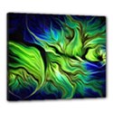 Canvas 24  x 20  (Stretched) 