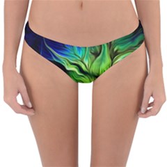 Reversible Hipster Bikini Bottoms 