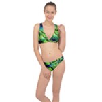 Fractal Art Pattern Abstract Fantasy Digital Classic Banded Bikini Set 