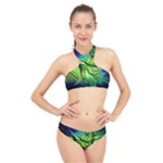 Fractal Art Pattern Abstract Fantasy Digital High Neck Bikini Set