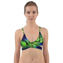 Wrap Around Bikini Top 