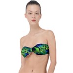 Fractal Art Pattern Abstract Fantasy Digital Classic Bandeau Bikini Top 