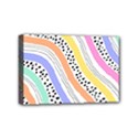 Mini Canvas 6  x 4  (Stretched) 