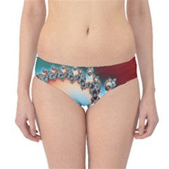 Hipster Bikini Bottoms 