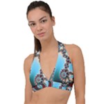 Fractal Spiral Art Math Abstract Halter Plunge Bikini Top