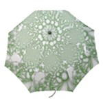 Green Abstract Fractal Background Texture Folding Umbrellas