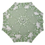 Green Abstract Fractal Background Texture Straight Umbrellas