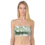 Green Abstract Fractal Background Texture Bandeau Top