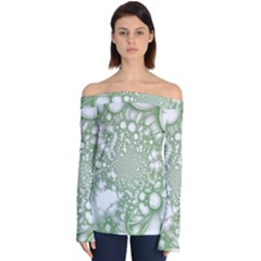 Off Shoulder Long Sleeve Top 