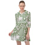 Green Abstract Fractal Background Texture Mini Skater Shirt Dress