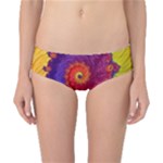 Fractal Spiral Bright Colors Classic Bikini Bottoms