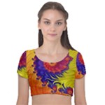 Fractal Spiral Bright Colors Velvet Short Sleeve Crop Top 