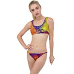 Fractal Spiral Bright Colors The Little Details Bikini Set