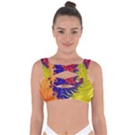 Fractal Spiral Bright Colors Bandaged Up Bikini Top