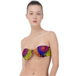 Fractal Spiral Bright Colors Classic Bandeau Bikini Top 