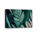 Mini Canvas 6  x 4  (Stretched) 