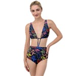 Bears Colors Dead Head Deadhead Grateful Dead Tied Up Two Piece Swimsuit