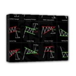 Chart Pattern Deluxe Canvas 16  x 12  (Stretched) 