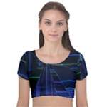 Screen Glitch Broken  Crack  Fracture  Glass Pattern Velvet Short Sleeve Crop Top 