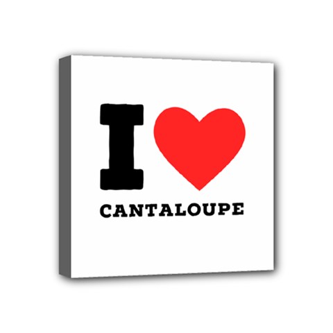I love cantaloupe  Mini Canvas 4  x 4  (Stretched) from ArtsNow.com