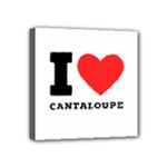 I love cantaloupe  Mini Canvas 4  x 4  (Stretched)