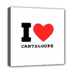 I love cantaloupe  Mini Canvas 8  x 8  (Stretched)