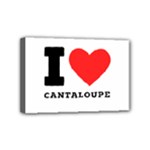 I love cantaloupe  Mini Canvas 6  x 4  (Stretched)