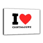 I love cantaloupe  Canvas 18  x 12  (Stretched)