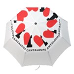 I love cantaloupe  Folding Umbrellas