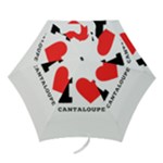 I love cantaloupe  Mini Folding Umbrellas