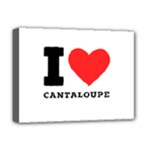 I love cantaloupe  Deluxe Canvas 16  x 12  (Stretched) 